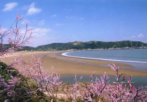 桃花岛旅游攻略有哪些？-第1张-旅游-答答问