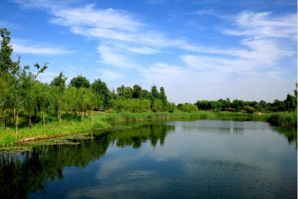 上海十大公园排名是怎样的？哪个公园最好玩？-第1张-旅游-答答问