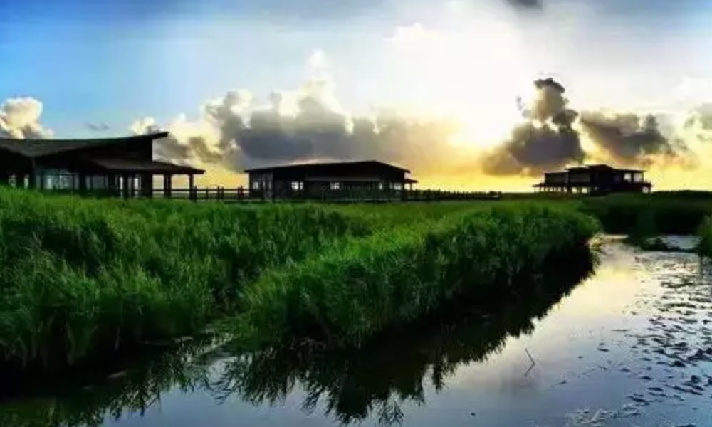 上海周边自驾游有哪些路线？可以说说吗？-第2张-旅游-答答问
