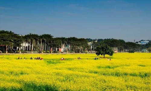求东莞景点排行榜，哪些比较值得去？-第3张-旅游-答答问