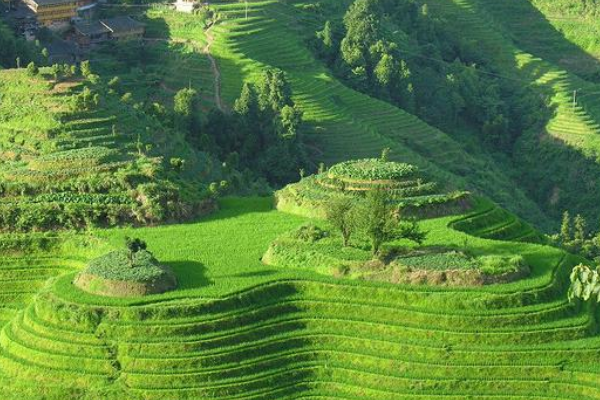 去桂林旅游玩漓江的话，哪一段风景好？-第1张-旅游-答答问
