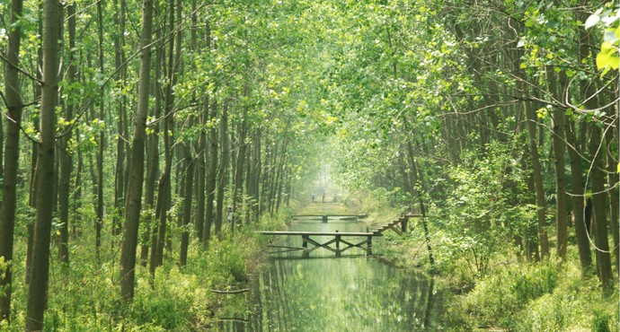 合肥风景区有哪些景点？值得一去吗？-第1张-旅游-答答问