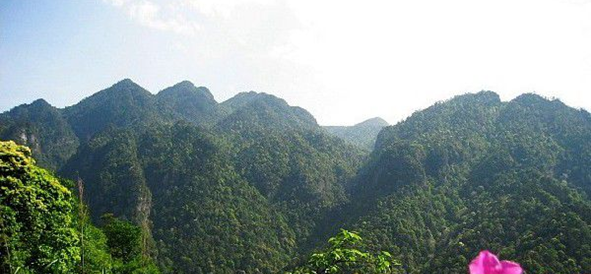 景点有哪些，井冈山有哪些必看景点，井冈山旅游攻略-第1张-旅游-答答问