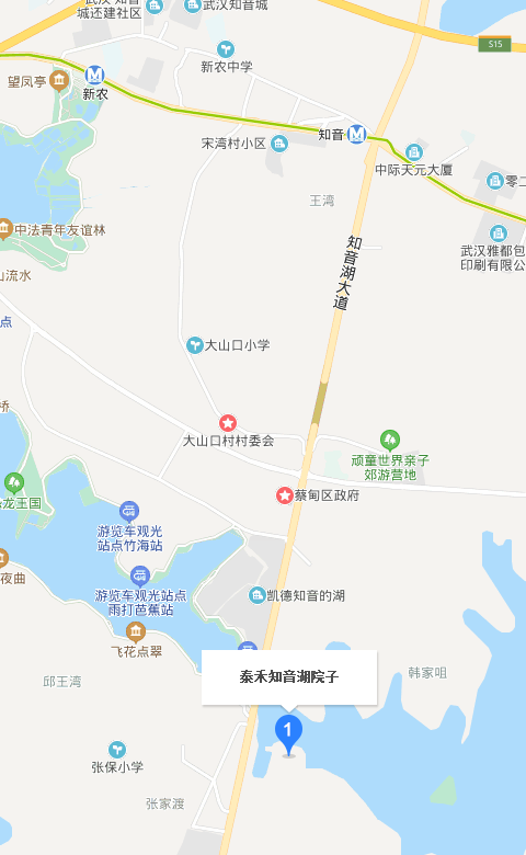 泰和知音湖院子坐4号地铁到哪一站下车呀下车后,还有多远呀-第1张-交通-答答问