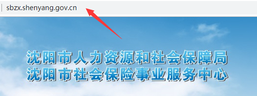 沈阳铁路局职工养老保险网上如何查询-第1张-交通-答答问