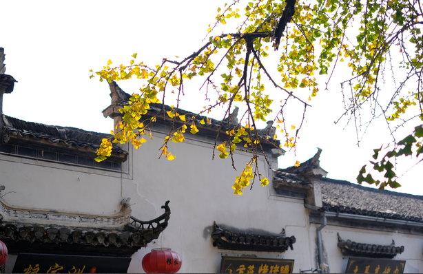 安徽有哪些旅游景点-第2张-旅游-答答问
