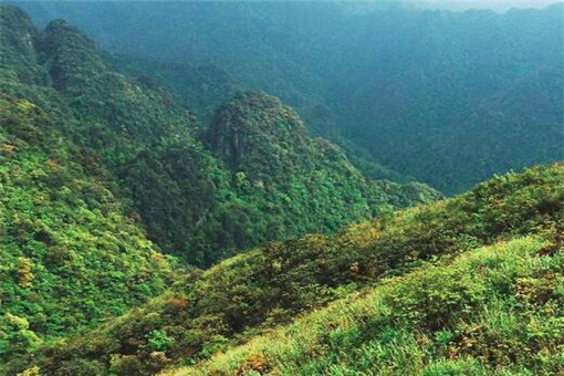南宁有什么景点？哪个值得去玩？-第3张-旅游-答答问