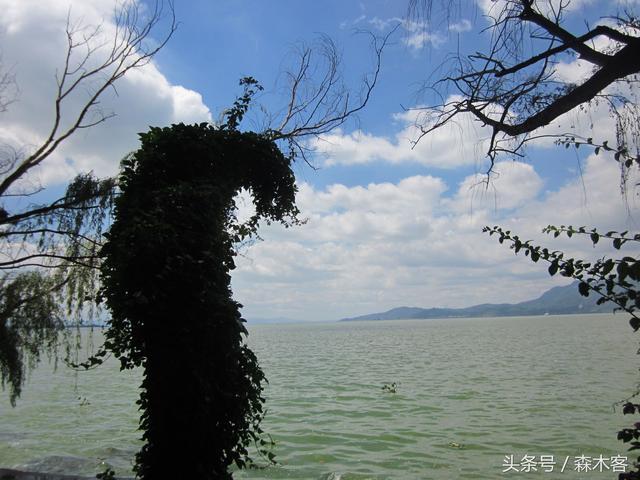 昆明附近有什么一日游的好去处-第6张-旅游-答答问