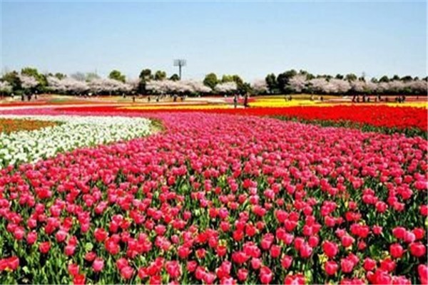 五一北京周边旅游的好去处都有哪些？-第2张-旅游-答答问