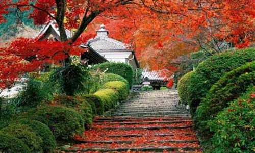 北京香山附近旅游景点-第1张-旅游-答答问