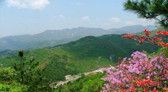 我在黄冈读书，想去附近城市旅游推荐个地方？-第8张-旅游-答答问