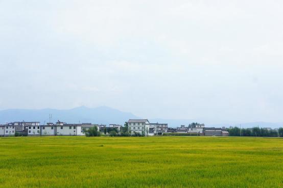 想去云南旅游，什么时间去最好？-第7张-旅游-答答问