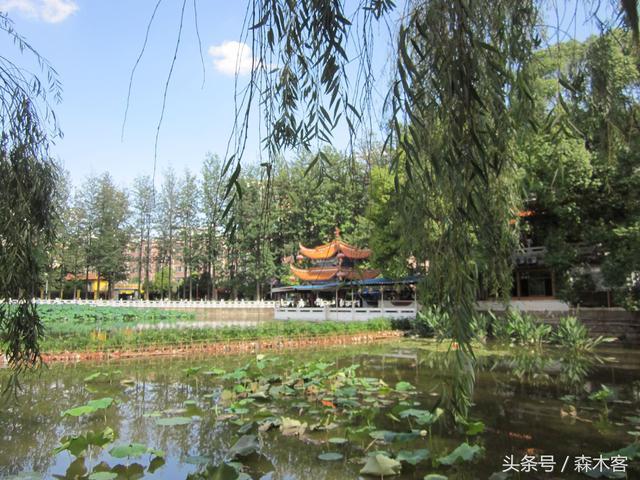 昆明附近有什么一日游的好去处-第16张-旅游-答答问