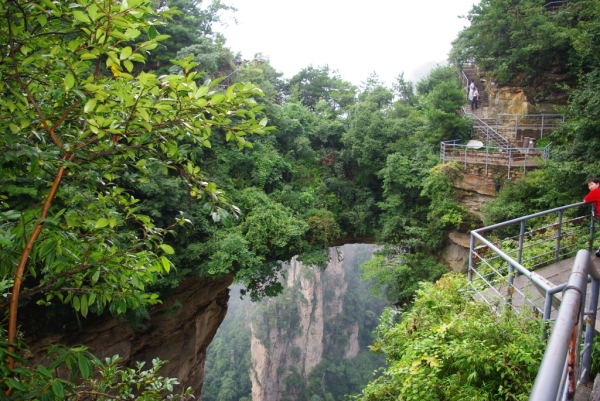 株洲到张家界旅游攻略-第2张-旅游-答答问