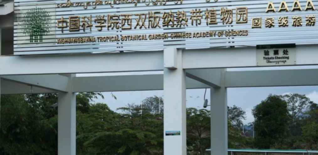 云南西双版纳旅游景点-第1张-旅游-答答问