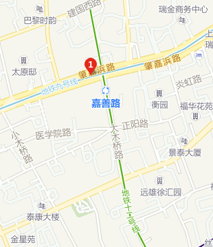 上海地铁9号线换7号线-第1张-交通-答答问