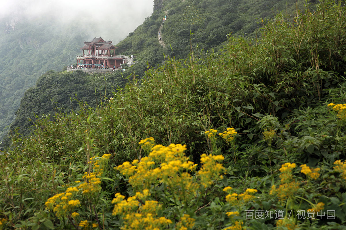 黄毛山一日游作文？-第1张-旅游-答答问
