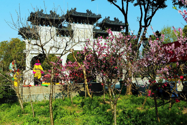 这几年农村特色旅游很流行，去农村旅游值得吗？-第3张-旅游-答答问
