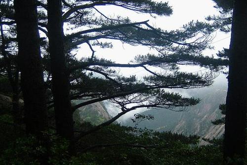 我在黄山南大门，上山怎样玩最好玩，最快，下午能下山？-第1张-旅游-答答问