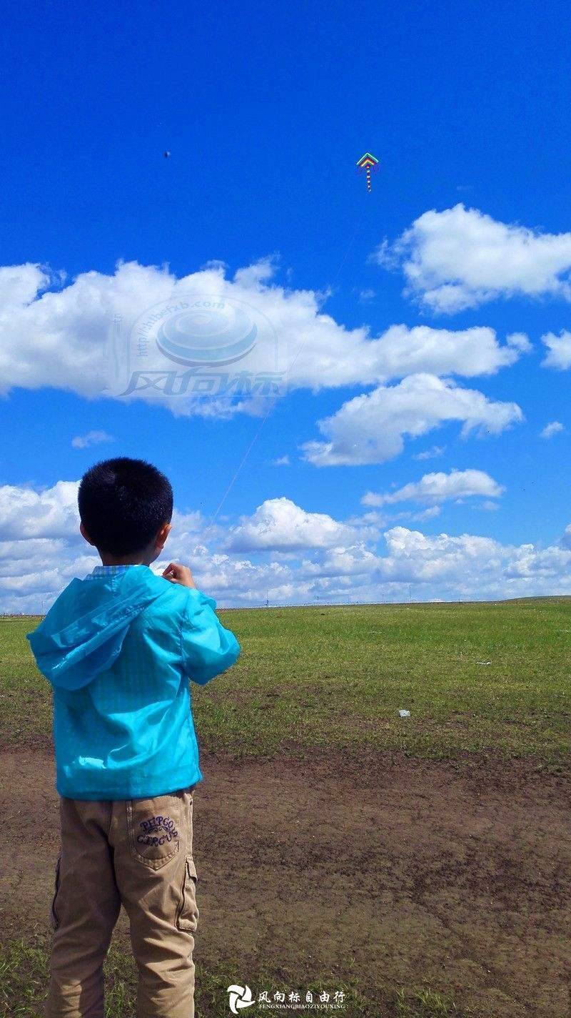 呼伦贝尔草原最适合亲子游的几个地方，旅游攻略-第3张-旅游-答答问