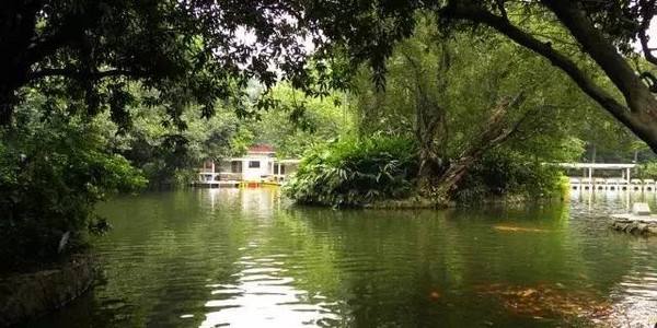 广州的珠江新城附近有什么好玩的地方？-第2张-旅游-答答问