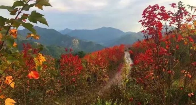 什邡有什么旅游景点？具体说说可以吗？-第2张-旅游-答答问
