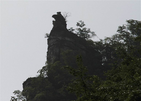 鸡公山风景区旅游攻略（门票、景点、直达车情况、注意事项）-第1张-旅游-答答问