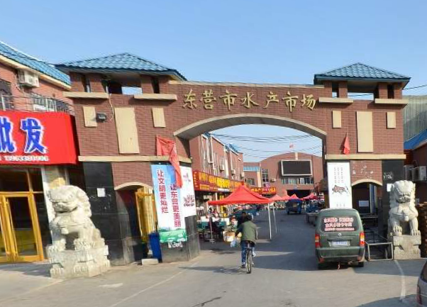 山东东营冷冻批发市场在哪-第1张-旅游-答答问