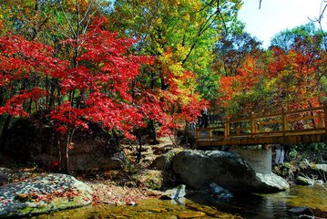 本溪关门山和老边沟哪个景色更好，可游度高？-第1张-旅游-答答问