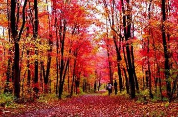 长春到蛟河红叶谷多少公里-第2张-旅游-答答问