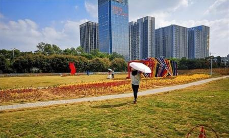 深圳宝安将建新的体育馆，新安花田将成过去，这是最后的容颜吗-第1张-交通-答答问
