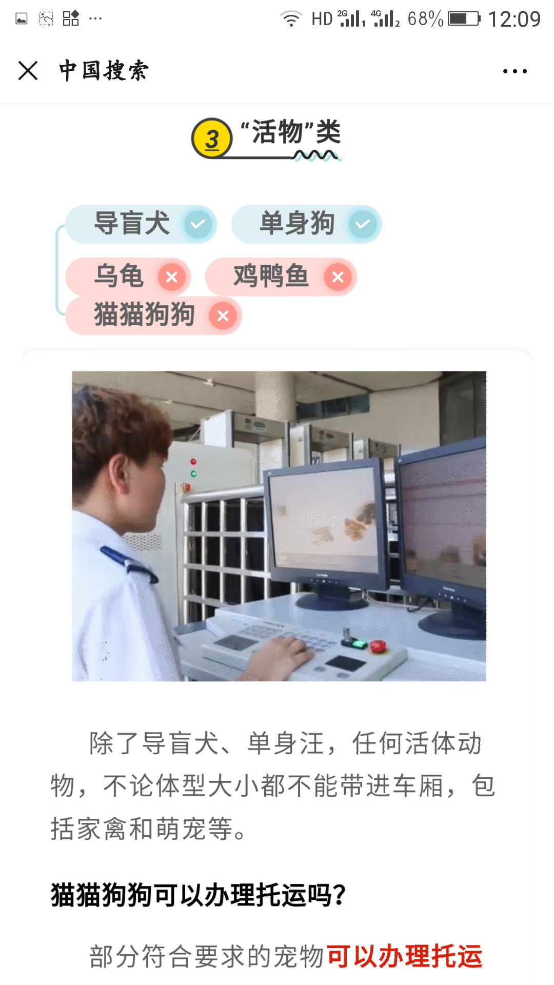 乌龟到底能不能带上火车，活物托运要什么检测报告类似的，一个乌龟还要打狂犬疫苗吗-第1张-交通-答答问