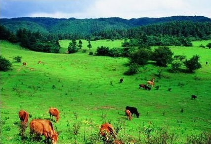 重庆自驾车游一天能去哪些景点？-第1张-旅游-答答问