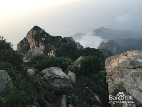 半夜到泰山，一日游怎么安排-第1张-旅游-答答问