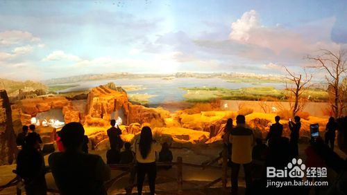 2月份，去宁夏水洞沟旅游景区，有哪些可游玩的项目？-第15张-旅游-答答问