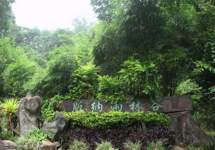 西双版纳热带雨林谷的主要景点-第1张-旅游-答答问