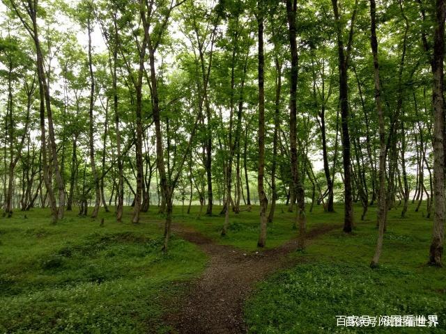被誉为世外桃源的西溪南古村落，为什么游客那么少，而名气却很大？-第4张-旅游-答答问