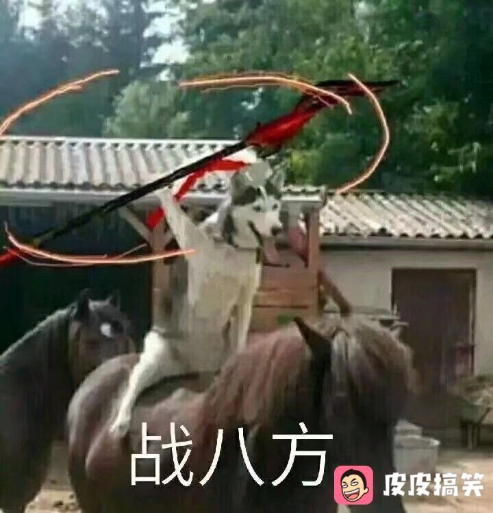 郫县犀蒲西郡兰庭正读的小学有哪些-第1张-交通-答答问