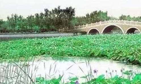 濮阳旅游景点-第1张-旅游-答答问