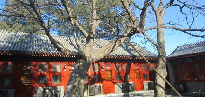 北京周边当日往返的自驾一日游去哪里比较好？-第3张-旅游-答答问