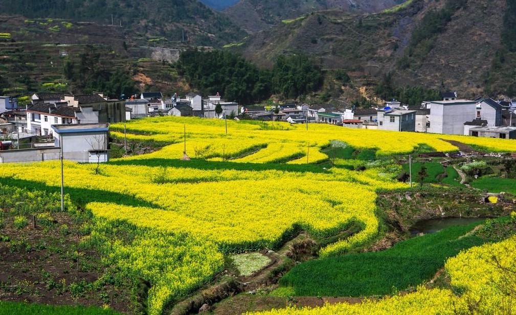 安徽自驾游都有哪些好玩的地方？-第10张-旅游-答答问