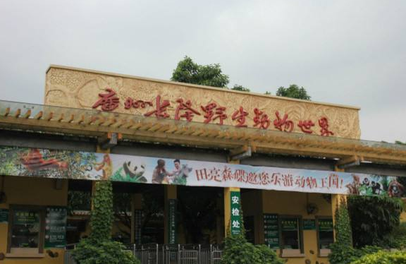 广州长隆野生动物园门票优惠政策-第1张-旅游-答答问