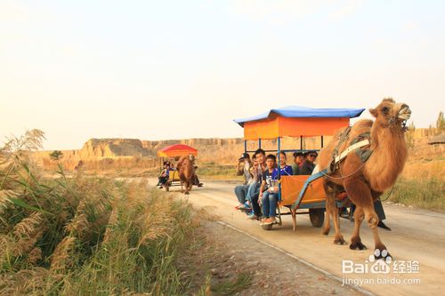 2月份，去宁夏水洞沟旅游景区，有哪些可游玩的项目？-第8张-旅游-答答问