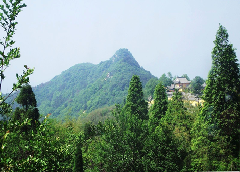 鸡公山风景区旅游攻略（门票、景点、直达车情况、注意事项）-第2张-旅游-答答问