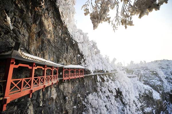 张家界国家森林公园旅游线路?-第5张-旅游-答答问