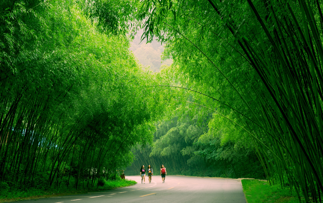 求河南洛阳重渡沟风景区游记攻略-第3张-旅游-答答问