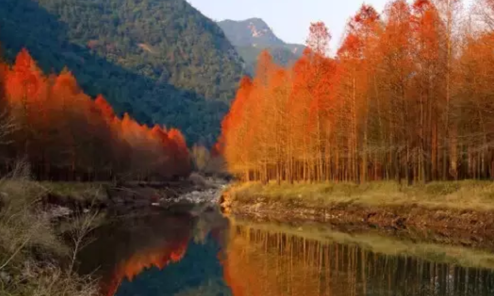 上海周边自驾游有哪些路线？可以说说吗？-第3张-旅游-答答问