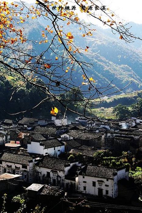 婺源游记-第1张-旅游-答答问