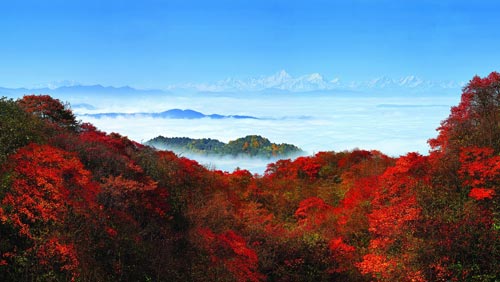 峨眉山高铁站到峨眉山景区有多远-第1张-交通-答答问