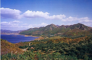 蛤蜊岛旅游区的介绍-第1张-旅游-答答问